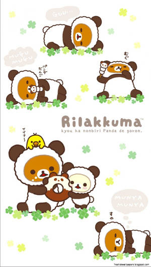 穿著毛絨服裝的Rilakkuma熊貓用三葉草和對話氣泡休息和玩耍。