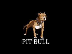 一隻戴著鏈條項圈的比特犬，下方有 pit bull 字樣。 — 卡通 壁紙