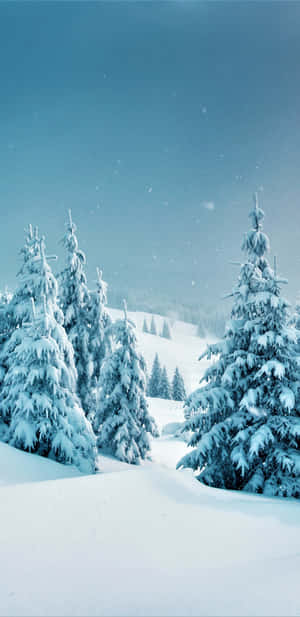 白雪覆蓋的松樹，在安靜的冬季森林中飄著雪。 — 冬日美學 壁紙