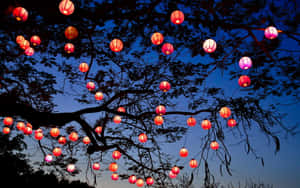 紅色和粉紅色燈籠掛在樹枝上，以暮色天空為背景。 — 燈籠 壁紙