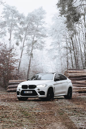 白色BMW X6 SUV停泊在雪地森林中，附近有原木。