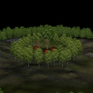 魔法森林小屋夜景