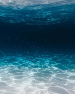 陽光在沙質海床上形成圖案，魚兒在水中游動。 — 水行俠 壁紙