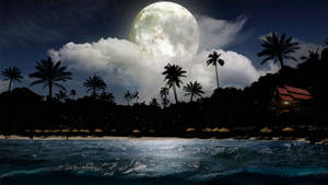 熱帶海灘夜晚，巨大的發光月亮下，棕櫚樹和海洋波浪。 — 月色夜空 壁紙