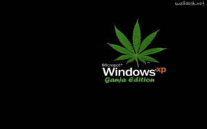 Windows XP Ganja Edition 標誌，黑色背景上有一個大麻葉。