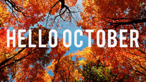 秋天的樹木，橙色葉子和藍天，帶有 hello october 文字。 — 秋天 壁紙