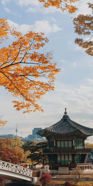傳統韓國亭閣被秋樹環繞，背景為城市天際線。 — Pixel 3 壁紙