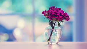 窗邊木桌上玻璃花瓶中的紫色花朵 — 花卉桌面 壁紙