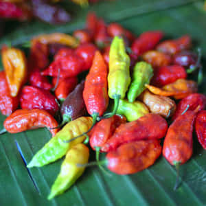 一堆色彩繽紛的新鮮辣椒放在綠色香蕉葉上。 — 1:1 壁紙
