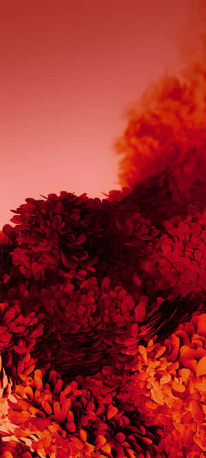 數位藝術風格的抽象紅色和橙色花卉形狀。 — iPhone 16 Pro Max 壁紙