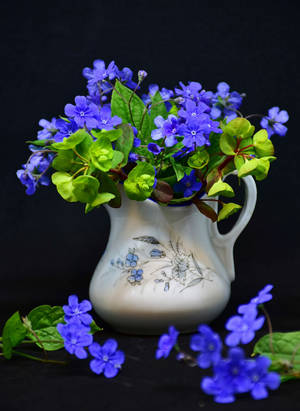黑色表面上的白色陶瓷花瓶中的藍色花朵和綠葉。 — 花卉 iPhone 壁紙