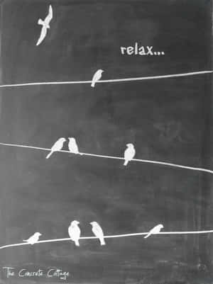 深色黑板上的白色粉筆鳥和 relax 文字。