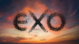 鳥群編隊飛行，在色彩繽紛的日落天空下拼出 EXO。