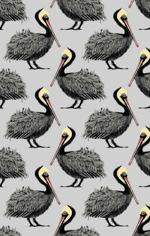 在灰色背景上重複的帶有紋理羽毛的鵜鶘插圖。