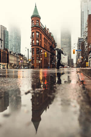 撐傘的人走在雨中的城市街道上，水坑中有建築物倒影。