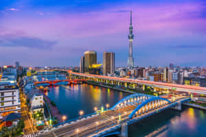 黃昏時分的東京城市景觀，燈光璀璨的橋樑和標誌性的晴空塔。 — 日本 壁紙