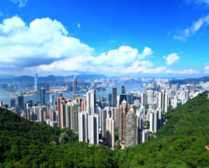 香港城市景觀，綠色山丘和藍天 — 天際線 壁紙