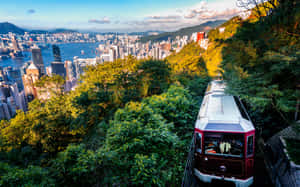 紅色纜車沿著綠色山坡上升，俯瞰日落時分的香港城市景觀和港口。 — 天際線 壁紙