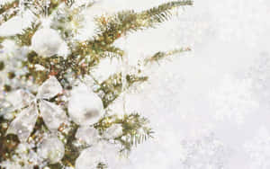 被雪覆蓋的松樹枝上裝飾著銀色飾品和蝴蝶結的節日冬季場景。