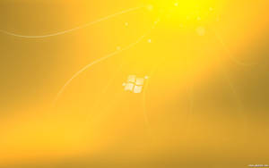 Windows 標誌漂浮在金色抽象背景中，帶有光線條紋。