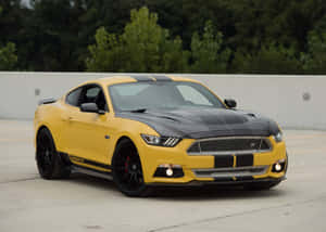 黃色福特Shelby GT跑車，帶有黑色點綴，停在混凝土表面上。