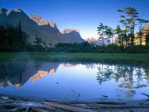 黎明時分，山湖映照山峰和樹木，前景有圓木 — 黎明 壁紙
