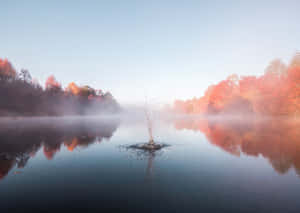 黎明時分的秋日湖泊，霧氣和紅樹倒映在平靜的水面，中央有水花。 — 迷霧森林 壁紙