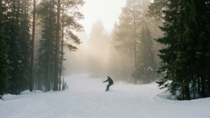 滑雪板運動員在日出時在雪地森林小徑上轉彎 — 日出 壁紙