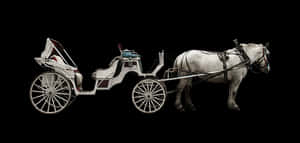 黑底白馬拉車