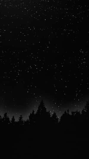 森林剪影上的星空夜晚