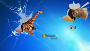 長頸鹿和大象衝破有裂痕的藍色螢幕，帶有 Windows Animals 標誌。