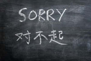 用粉筆喺黑板用英文同中文寫嘅「sorry」。