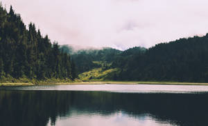 一個平靜的湖泊，被森林覆蓋的山丘環繞，霧氣從山上升起。 — 湖景 壁紙