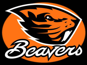橙色和黑色海狸吉祥物標誌，附有「Beavers」文字。