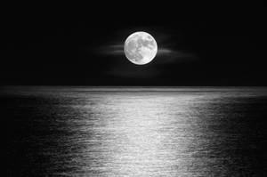 滿月映照在夜間平靜的海面上，黑白