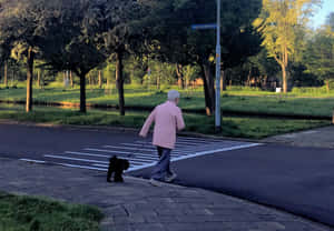 一位長者在日落時帶著一隻小黑狗過馬路。