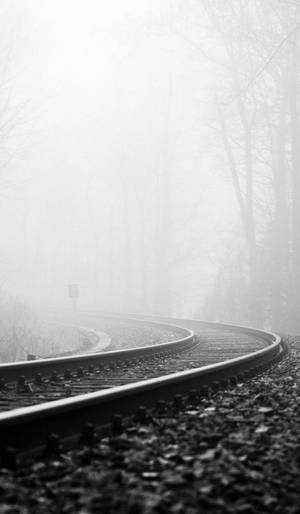 彎曲的鐵路軌道消失在霧氣瀰漫、樹木光禿的森林中。