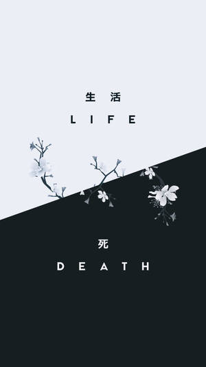 櫻花在極簡黑白設計中分隔生與死文字。