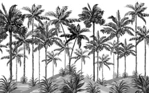 黑白插圖中帶有詳細葉片的高大棕櫚樹。 — 棕櫚樹 GIF 壁紙