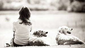 女士坐在草地上，兩隻金毛尋回犬在她身邊。