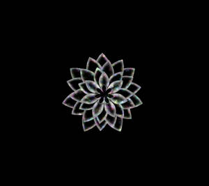 在黑色背景上發光的彩虹色分形花朵圖案