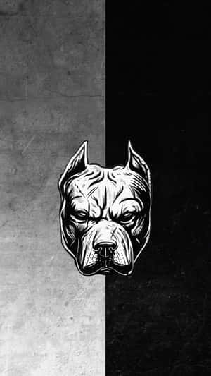 一個風格化的黑白鬥牛犬頭部，在紋理背景上垂直分裂。 — 黑白 壁紙