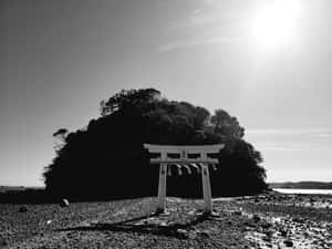 日落時分，岩石海灘上的白色鳥居，面向樹木覆蓋的島嶼。