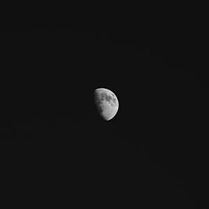 一彎新月獨自懸掛在黑暗的夜空中。