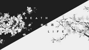 櫻花枝條在分割的黑白背景上框住「死亡」和「生命」字樣。 — 鼓舞人心的 壁紙