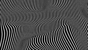 黑白波浪條紋營造出動態的錯覺效果。 — 幻覺 壁紙