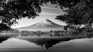 富士山倒映在湖中，划艇和樹枝框住景色。