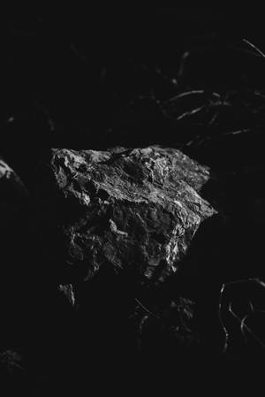 孤獨的岩石在黑暗背景中突出，帶有微弱的樹枝。