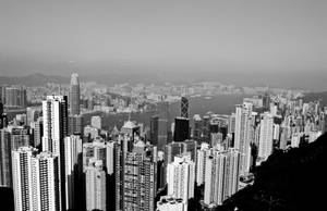 香港的黑白城市景觀，摩天大樓和港口。