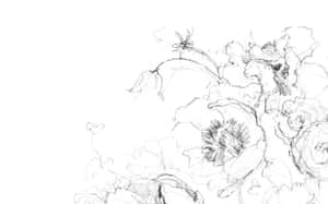 白色背景上帶柔和陰影的黑色墨水花卉素描 — 插畫 壁紙